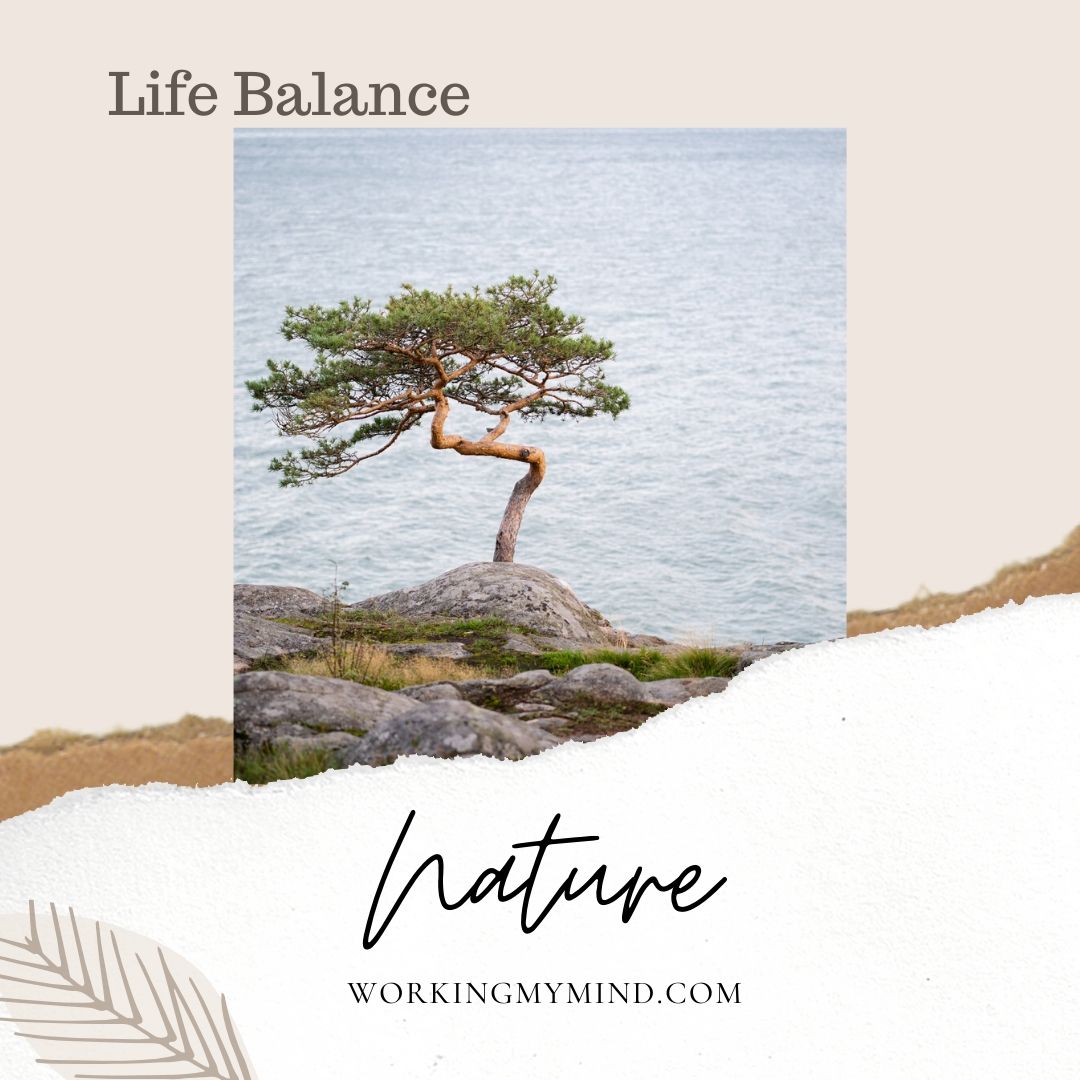Finding Life Balance And Inner Peace In Nature Workingmymind